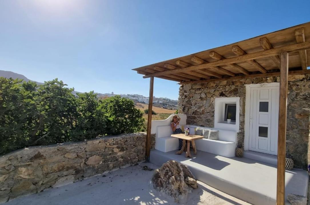 Mykonian Studio Angelo Apartman Áno Merá Kültér fotó
